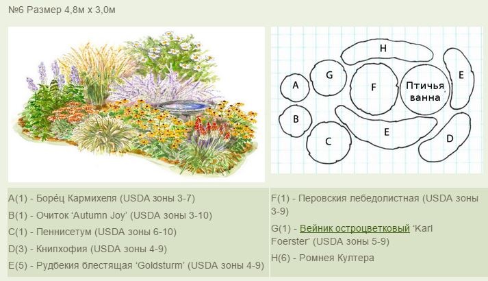 Клумба с пионами схема непрерывного цветения