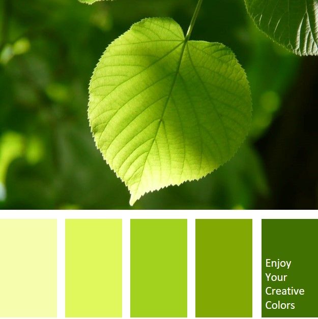 К оттенкам зеленого цвета относится. Палитра зеленого цвета. Цветовая палитра теплый зеленый. Зеленая гамма цветов. Палитра цветов с зеленым цветом.