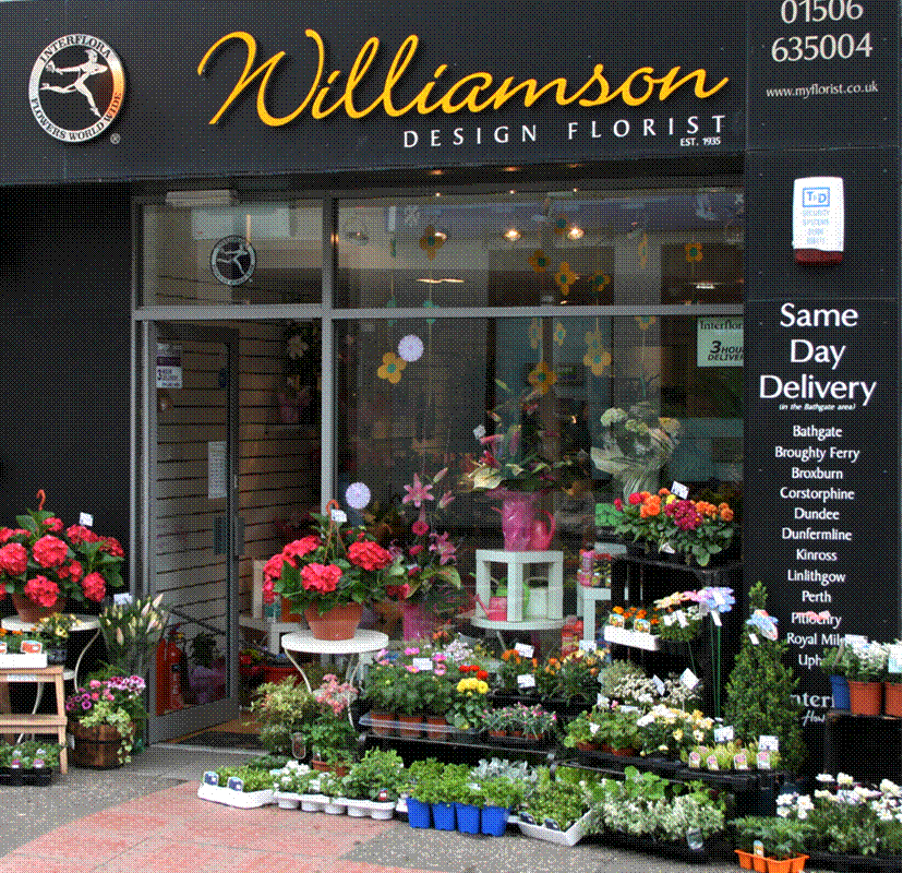 Цветочный магазин батайск