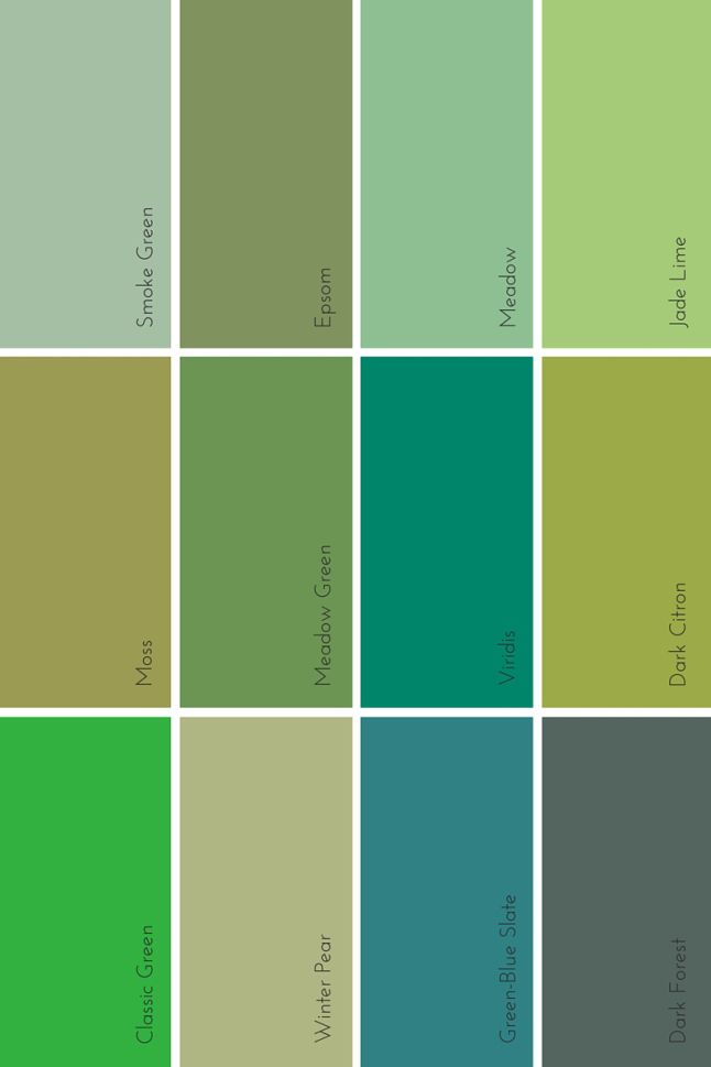 Холодный оливковый. Green Paint Colors пантон. Оттенки зелёного цвета. Цветовая гамма зеленого цвета. Зеленый фисташковый цвет.