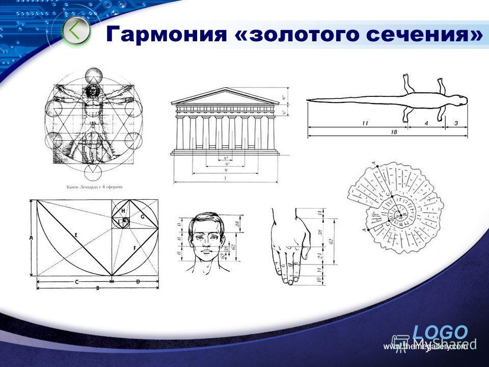 Золотое сечение в природе и архитектуре проект