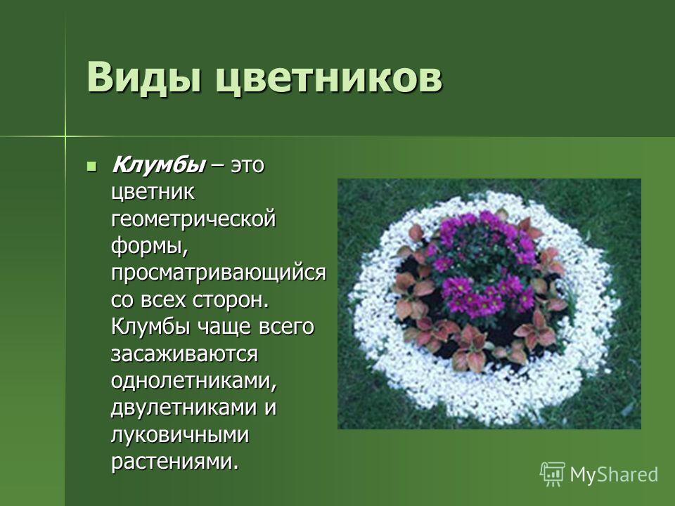 Презентация клумб. Типы цветников. Презентация Цветочная клумба. Клумба для презентации. Проекты цветочных клумб.