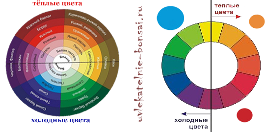 Теплые направления. Цветовой круг Иттена теплые и холодные. Звезда Освальда колористика. Круг Иттена теплые и холодные цвета. Теплые цвета колористика.