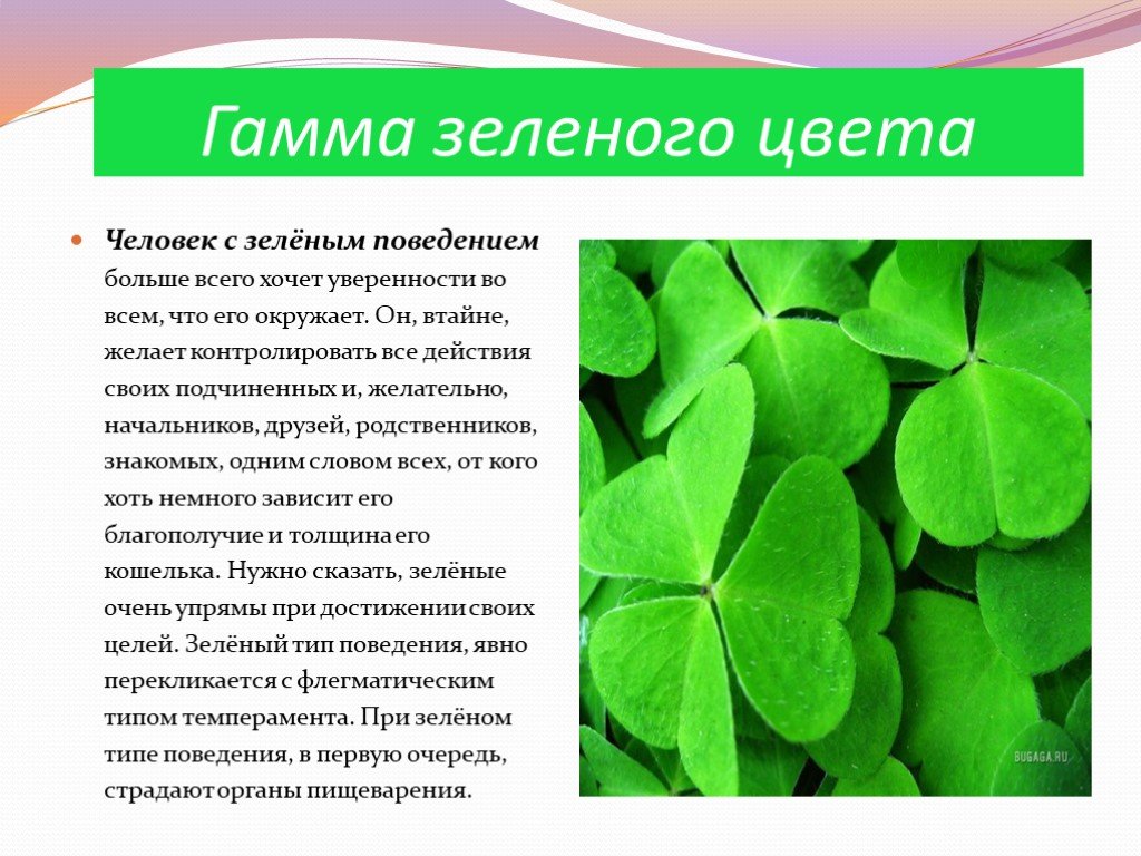 Зеленый цвет как влияет. Влияние зеленого цвета на человека. Зеленый цвет для презентации. Зеленый цвет значение. Зелёный цвет характеристика человека.