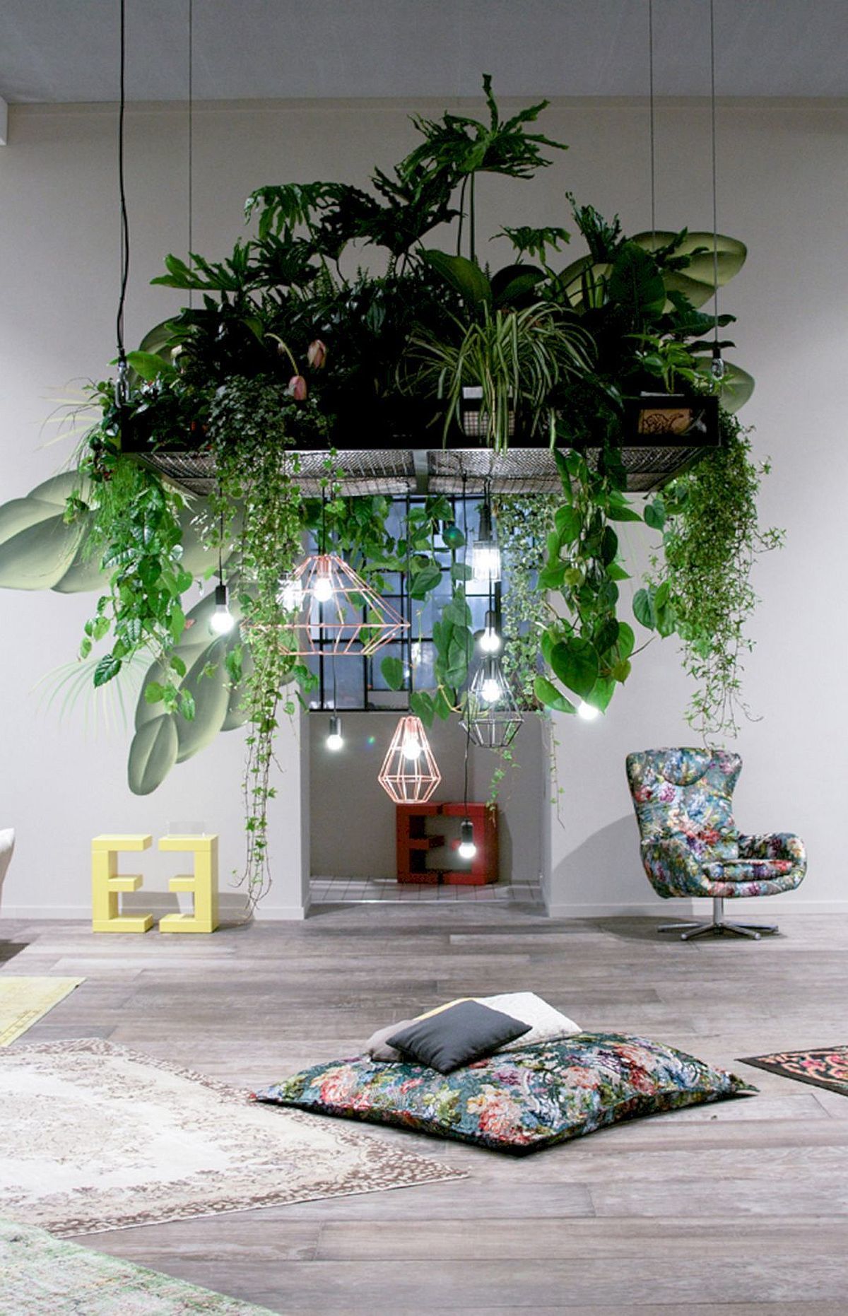 Озеленение комнаты растениями