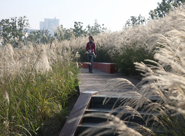 Shanghai Houtan Park 5