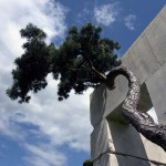Mill Valley Residence by McGlashan Architecture 1
