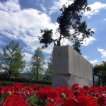Mill Valley Residence by McGlashan Architecture 1