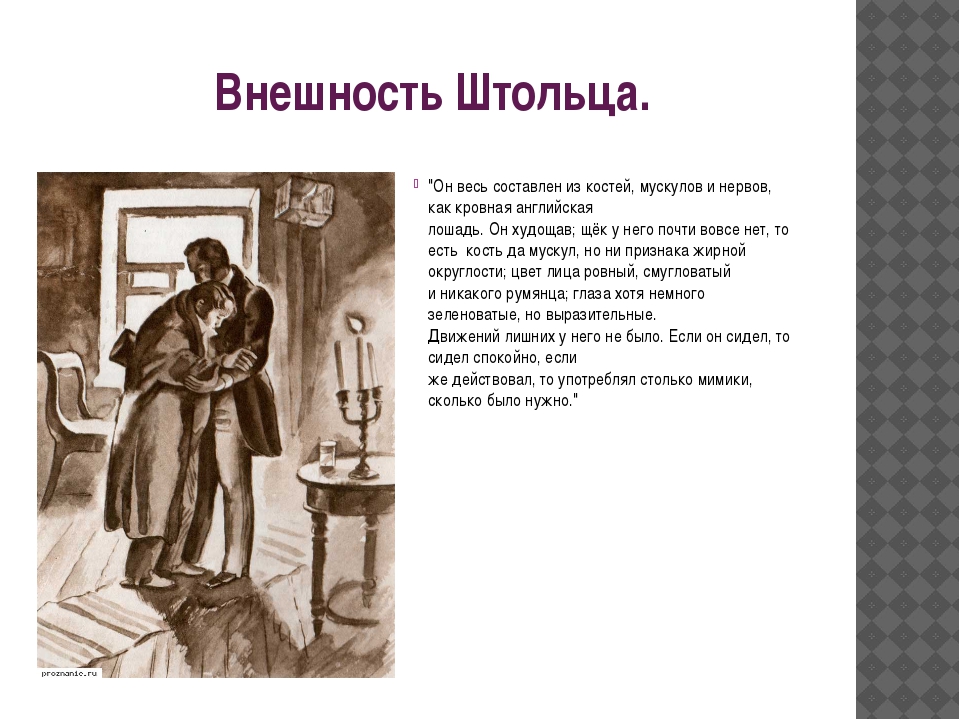 Характеристика обломова портрет. Андрей Штольц внешность Обломов. Портрет описание внешности Штольца. Внешность и характер Андрея Штольца. Внешность Обломов внешность Штольца.