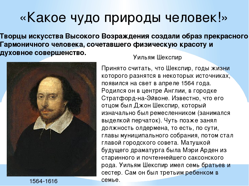 Доклад по истории 7 класс. Какое чудо природы человек. Какое чудо природы человек кратко. Какое чудо природы человек Шекспир. Какое чудо природы человек краткое содержание.