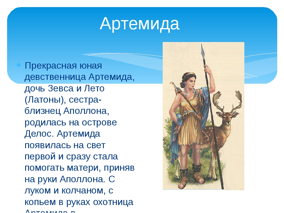 Охота богиня сканворд. Артемида дочь Зевса и лето. Артемида атрибуты Бога. Загадка про Артемиду. Артемида свет.