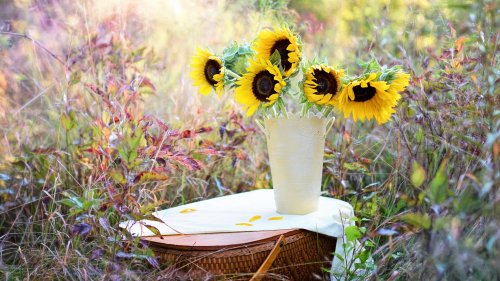 Romantic Picnic Basket & Sunflowers Wallpaper