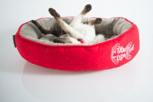 😻 Как сделать своими руками домик для кошки за 15 минут: лучшие мастер-классы с инструкциями