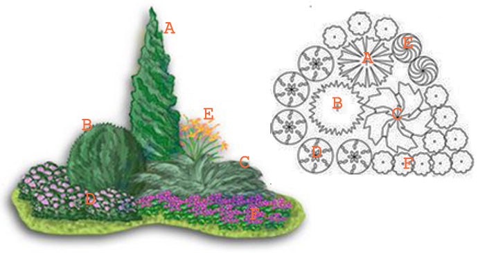 Цветник из кустарников схема
