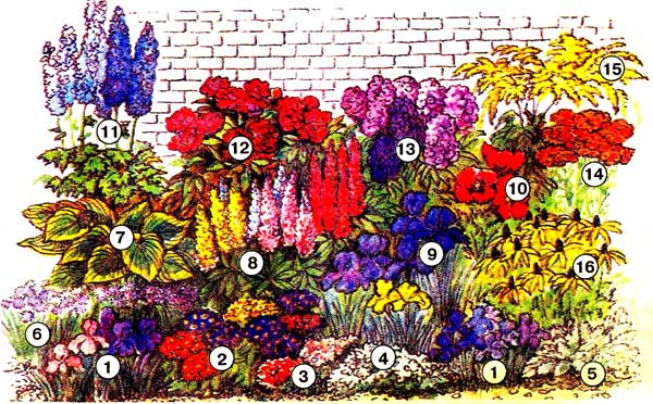 Клумба первоцветов схема