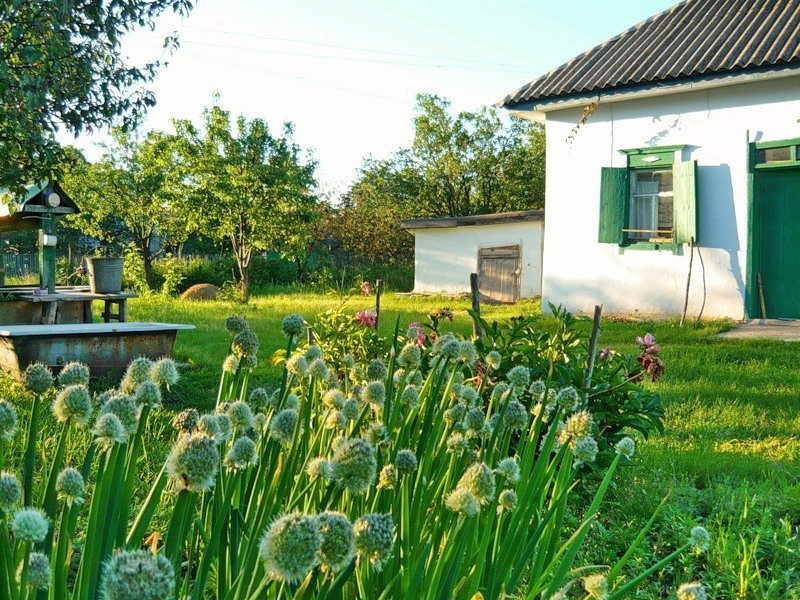 Сельский двор не городская. Двор в деревне. Современный двор в деревне. Деревенский огород. Красивый двор в деревне.