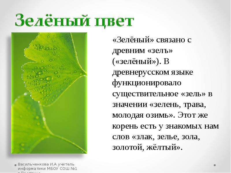 Корни зеленый текст. Происхождение зеленого цвета. Характеристика зеленого цвета. История возникновения зеленого цвета. Зеленый цвет для презентации.