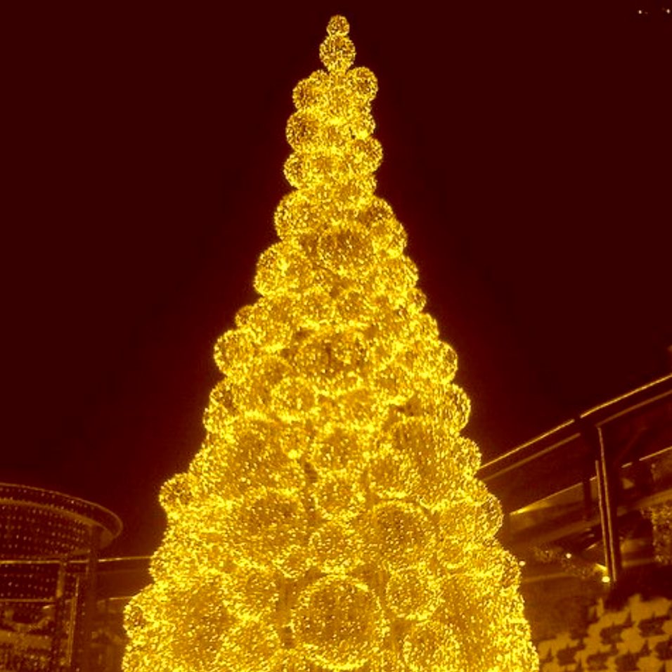 Желтые елочки. Елка в желтых тонах. Новогодняя елка с желтыми огнями. Новогодняя ёлка в жёлтом стиле. Елка Новогодняя в желтом цвете.
