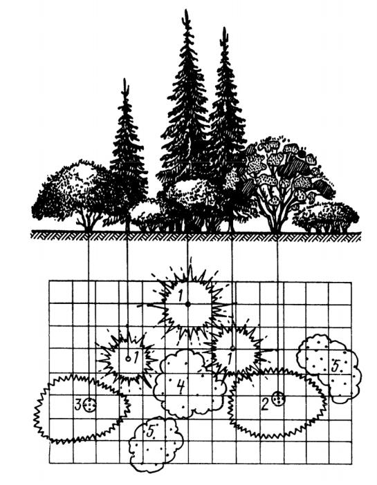 Древесно кустарниковые композиции схемы