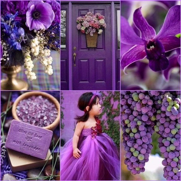 Сиреневый и фиолетовый цвет сравнить фото