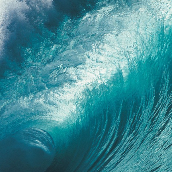 Оттенок морской волны:  морской волны и сочетание с ним .
